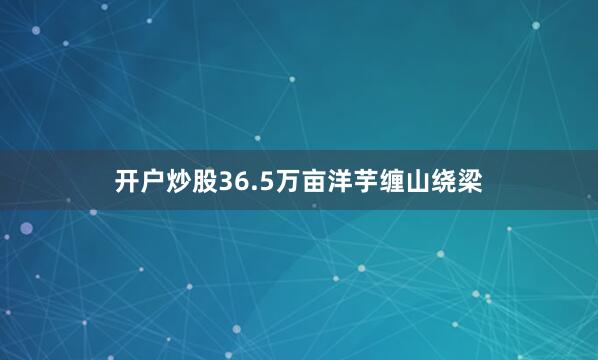 开户炒股36.5万亩洋芋缠山绕梁