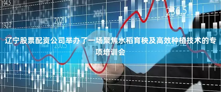 辽宁股票配资公司举办了一场聚焦水稻育秧及高效种植技术的专项培训会