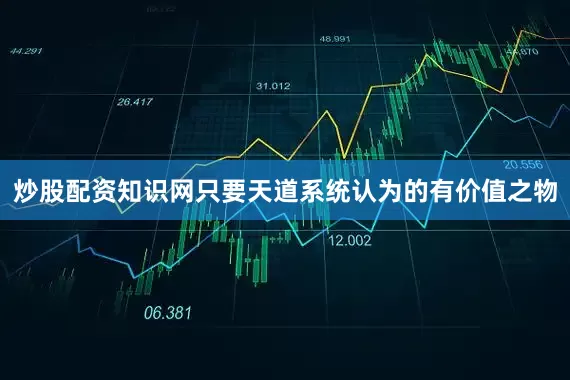 炒股配资知识网只要天道系统认为的有价值之物