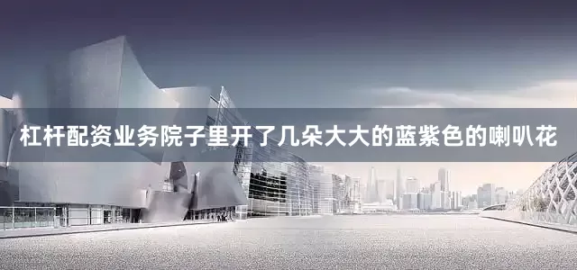 杠杆配资业务院子里开了几朵大大的蓝紫色的喇叭花
